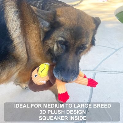 5 Pack Tough Layer Plush Dog Toys Assortment Value Bundle Dog Squeaky Toys Assortment Puppy Pet Mutt Dog Toy Dog Squeak Toy for Medium Large Dogs