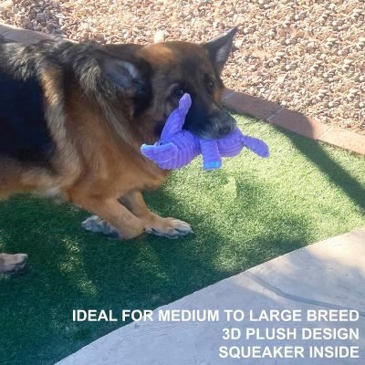 5 Pack Tough Plush Animal Dog Toys Assortment Value Bundle Dog Squeaky Toys Assortment Puppy Pet Mutt Dog Toy Dog Squeak Toy for Medium Large Dogs