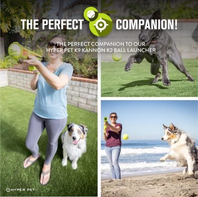 Pet Tennis Balls for Dogs - 12 Pack 2.5" for Exercise and Fetch, Interactive Toys, Great for Small Breeds