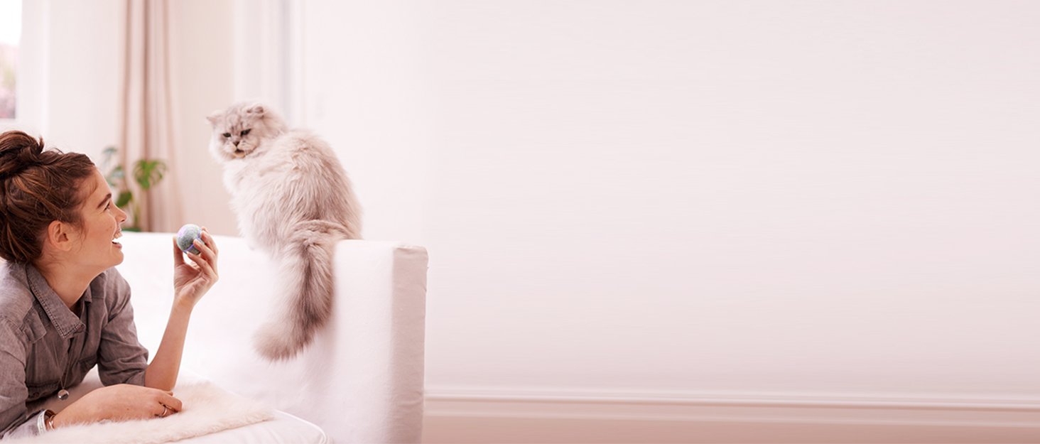 automatic rolling ball for indoor cats