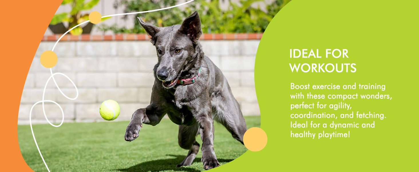 Hyper Pet Tennis Balls