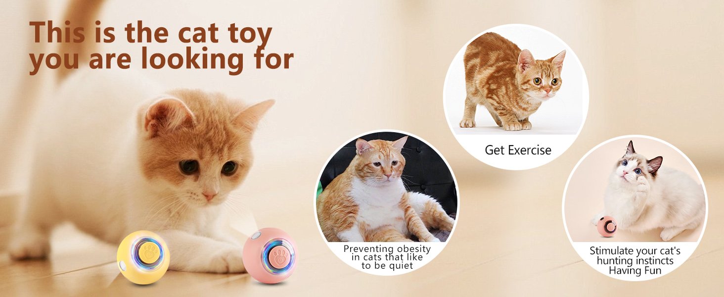 automatic cat toys
