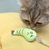 A1UAZgN9iSL._AC_SL1500 Cat Casting Fishing Pole Toy, Cat Casting Toy Set, Interactive Toy for Cats, Tangle-Free Design, Cat Toy for Indoor Outdoor Cats