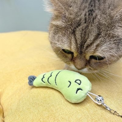 A1UAZgN9iSL._AC_SL1500 Cat Casting Fishing Pole Toy, Cat Casting Toy Set, Interactive Toy for Cats, Tangle-Free Design, Cat Toy for Indoor Outdoor Cats