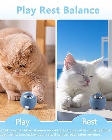 interactive hunting cat toy