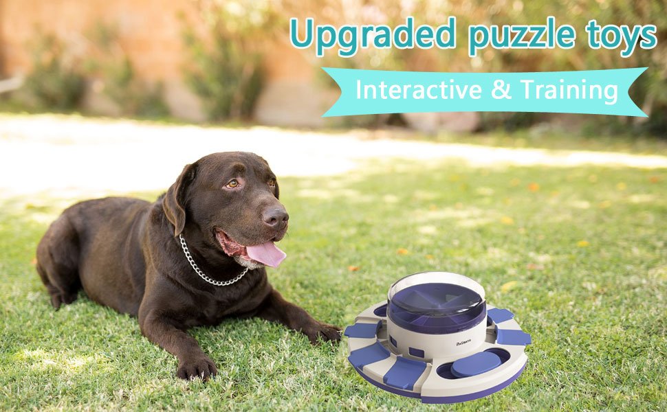 upgraded puzzle toys