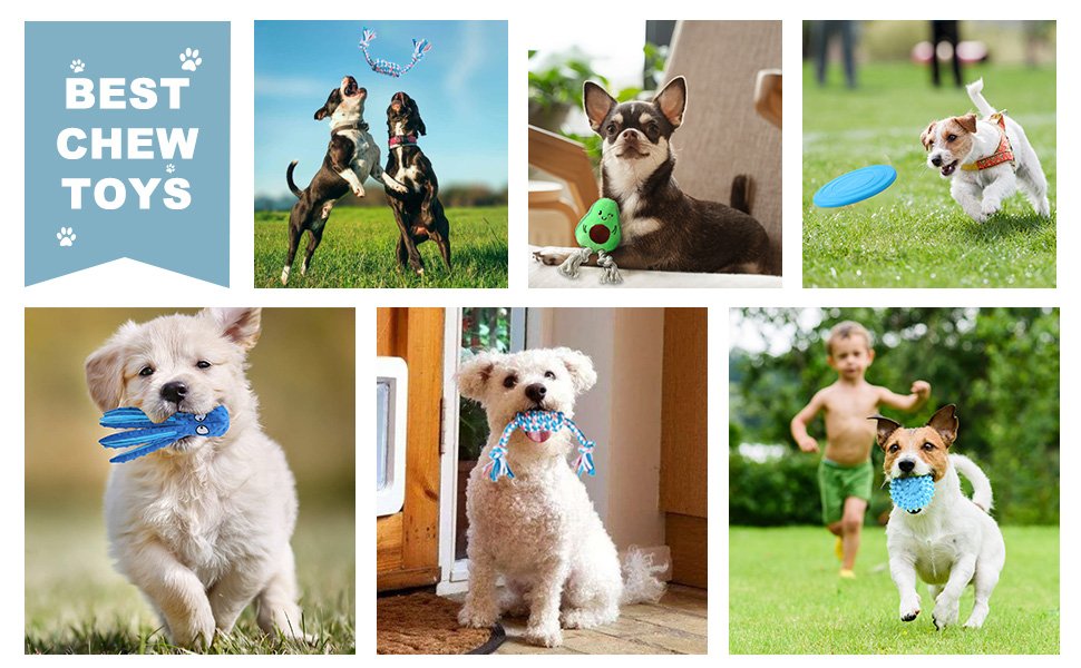 dog chew toys