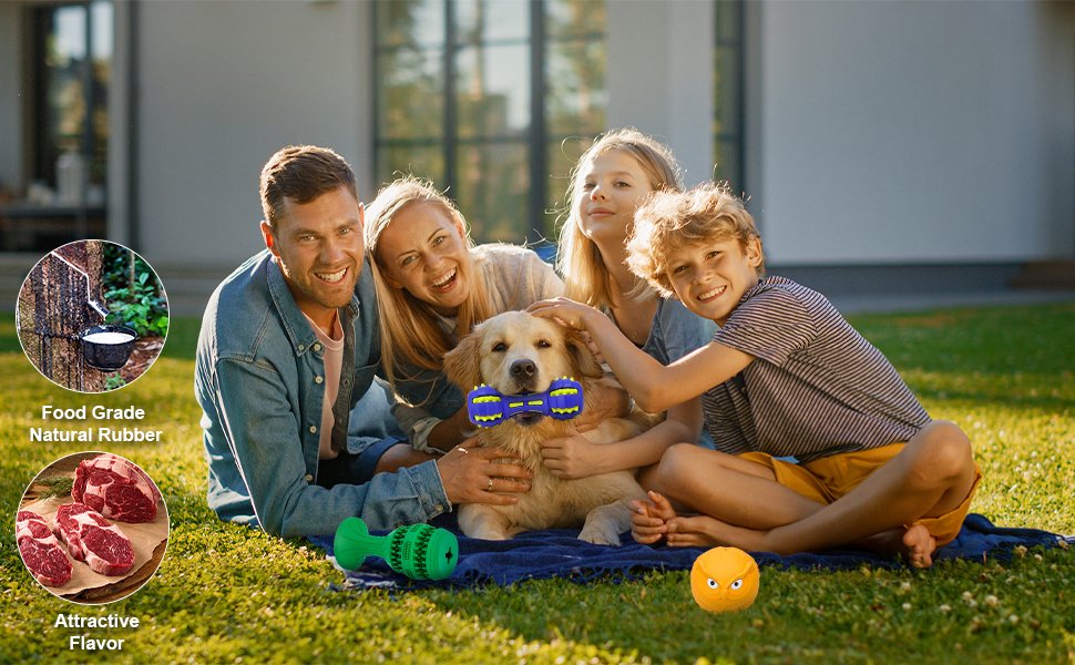 dog chews for aggressive chewers