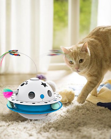 cat toys
