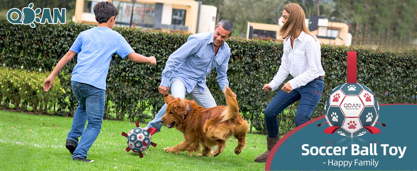 soccer ball for dogs