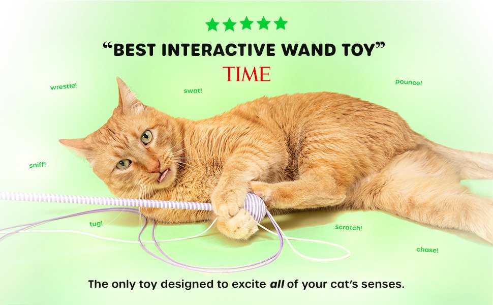 A cat playfully interacting with The Wiggle Wand, with an accompanying quote from Time Magazine