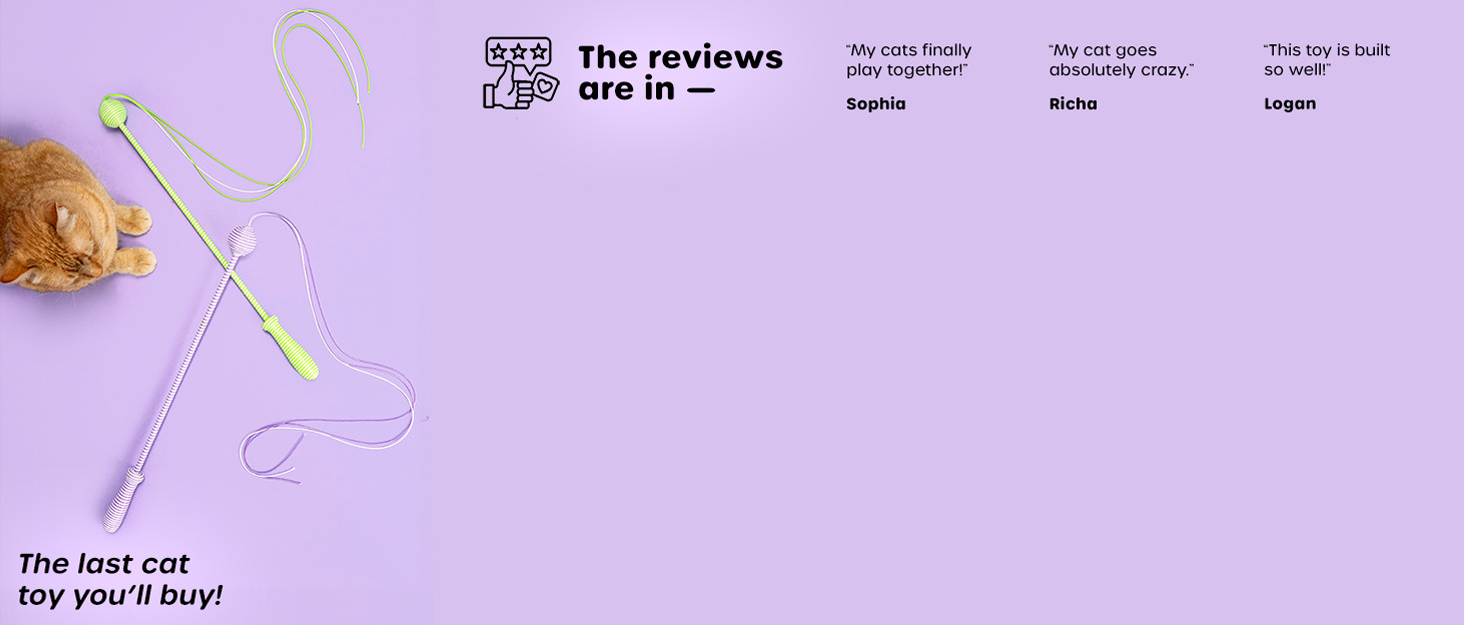 the wiggle wand cat toy brand story