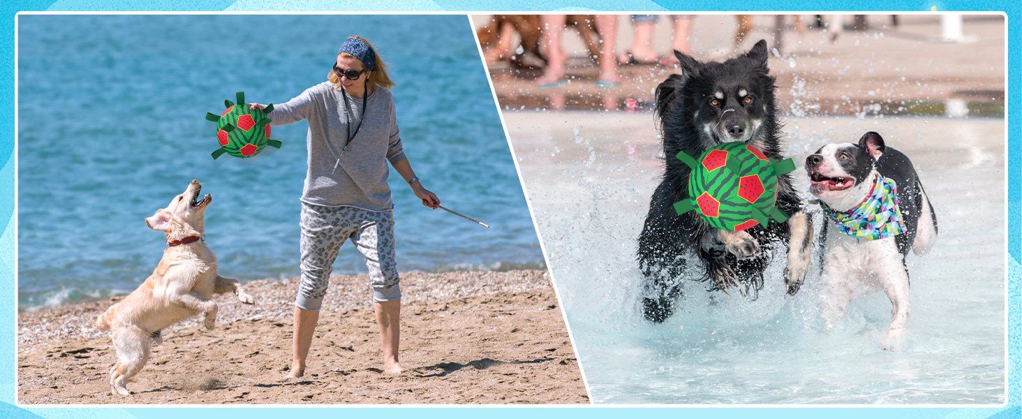 dog water soccer ball 