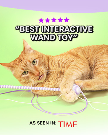 the wiggle wand cat toy time magazine best interactive wand toy