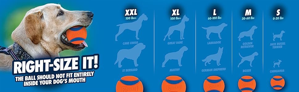 Chuckit! Ball Size Chart
