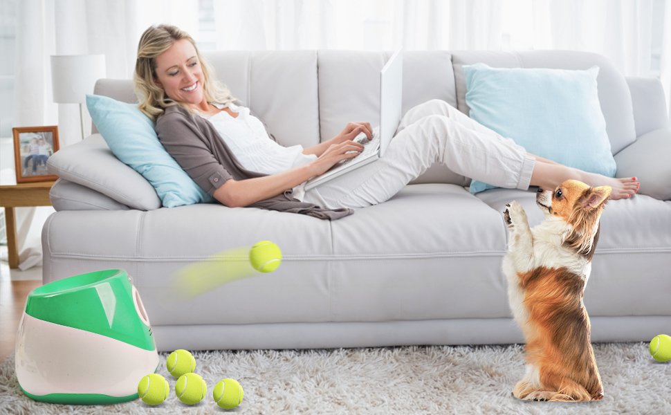 dog fetch ball thrower