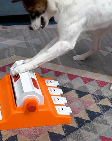 dog puzzle toy