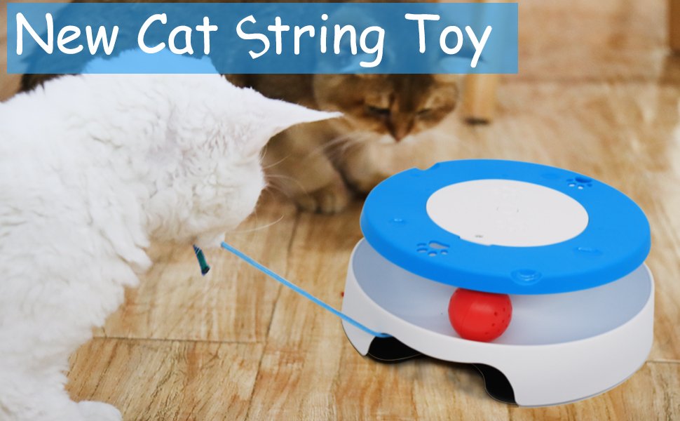 Cat String Toy