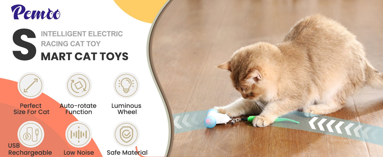 smart cat toy