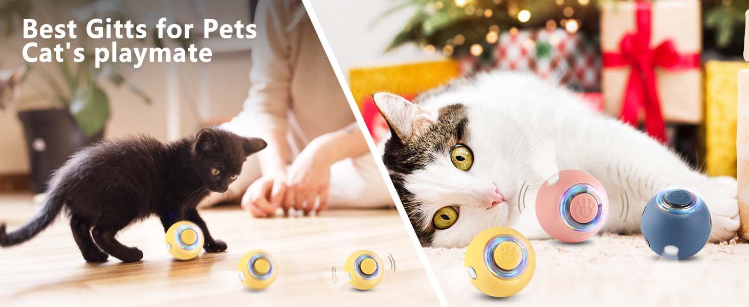 cat toys interactive