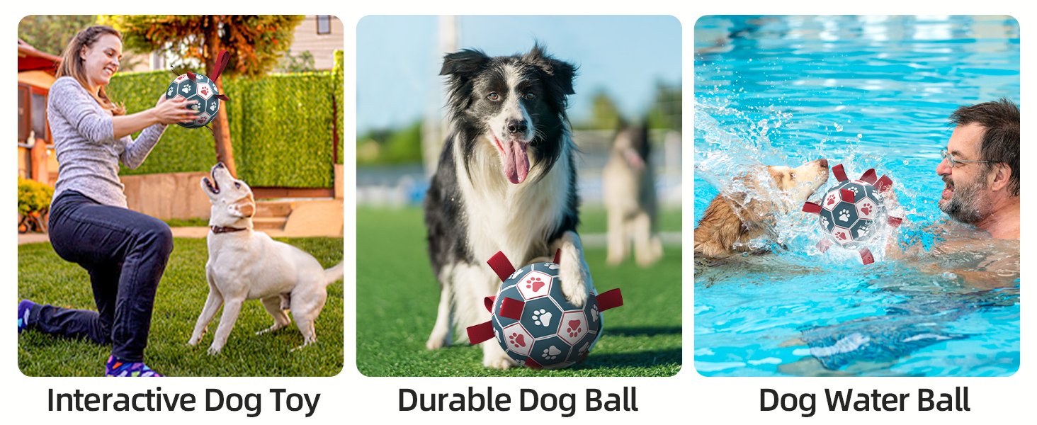 soccer ball for dogs