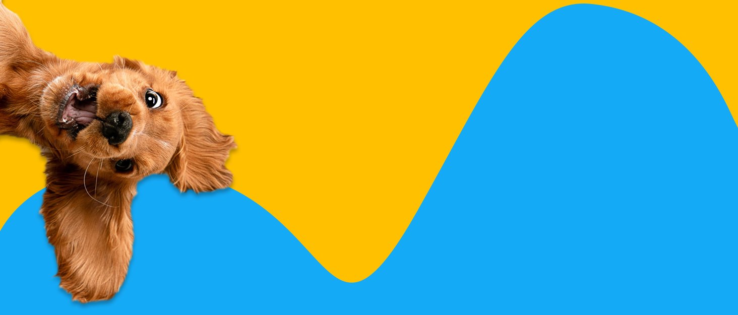 background for hound games