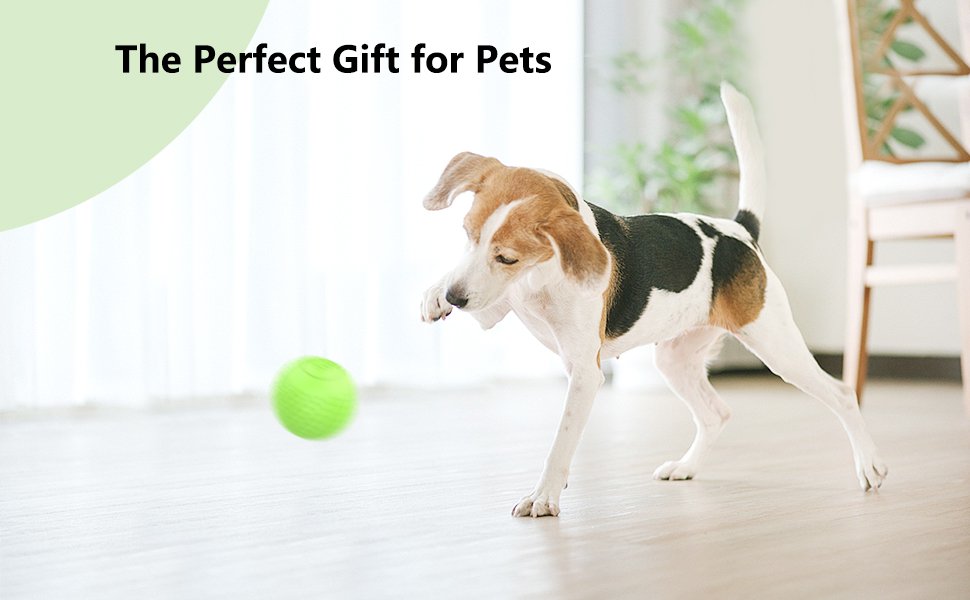 dog pet gift