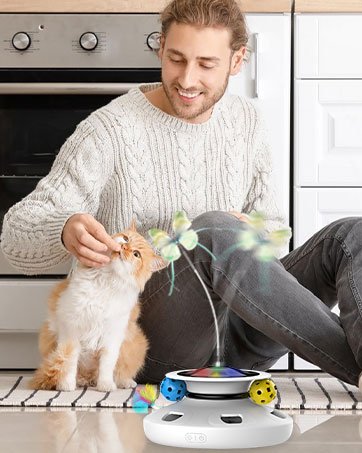 automatic cat toy