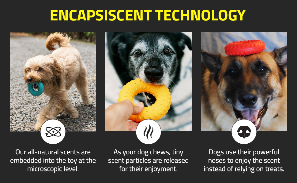 Soft Extreme Bark Treats Collar Crate Accessories Bowls Beds Car Leashes Dogfood Crates Pens Fur