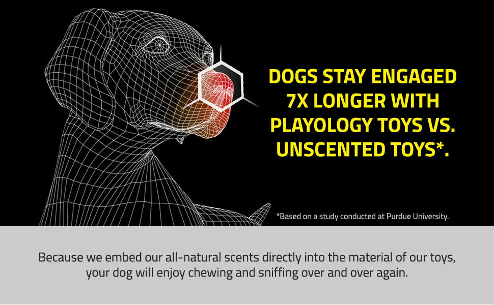 Bowls Beds Car Leashes Dogfood Crates Pens Fur Dogs Toy Toys Squeak Squeaky Aggressive Chew Chewer