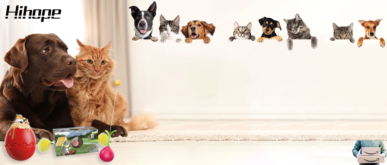 dog toy cat toy
