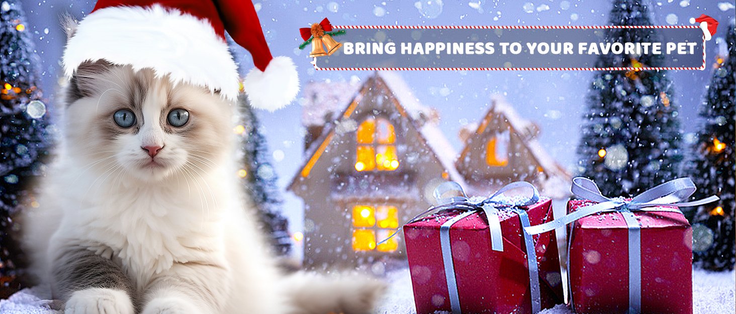 cat toys for indoor cats