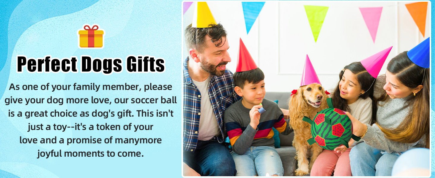 dog water soccer ball for gift