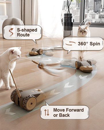Interactive Cat Toy
